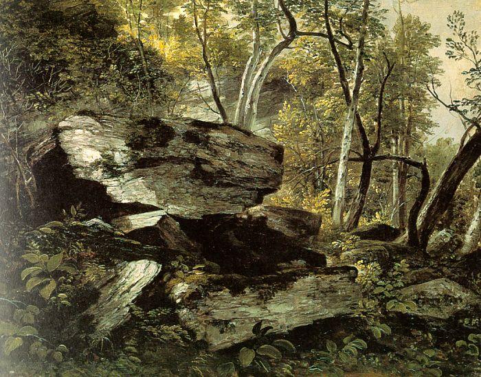 Asher Brown Durand Study from Rocks and Trees oil painting image